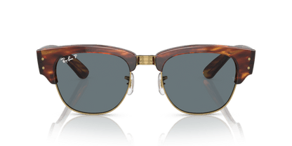 Striped Havana - 0RB0316S 8056597888813