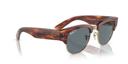 Striped Havana - 0RB0316S 8056597888813