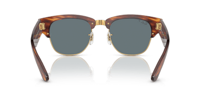 Striped Havana - 0RB0316S 8056597888813