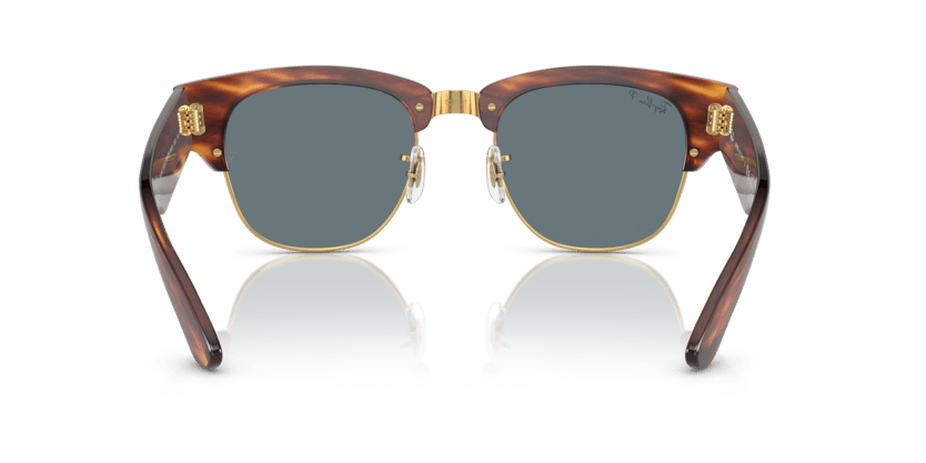 Striped Havana - 0RB0316S 8056597888813