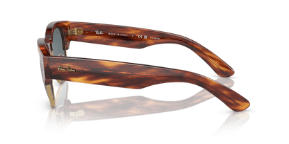 Striped Havana - 0RB0316S 8056597888813