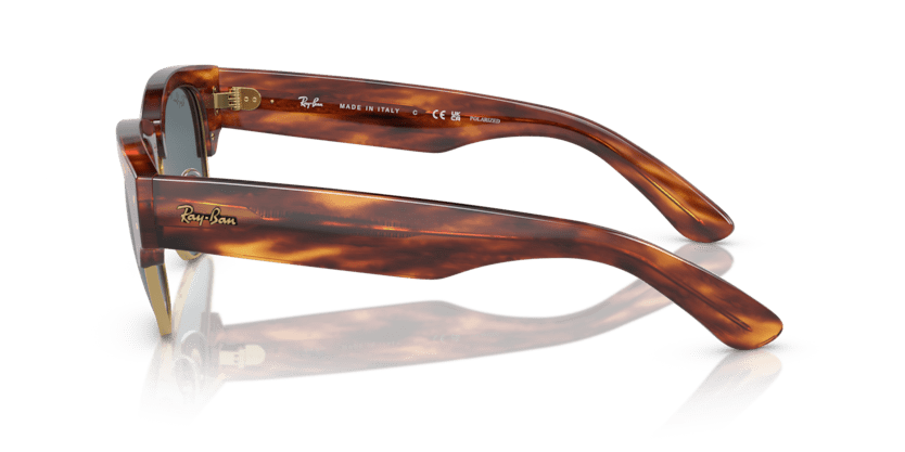 Striped Havana - 0RB0316S 8056597888813