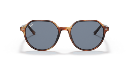 Striped Havana - 0RB2195 8056597364058