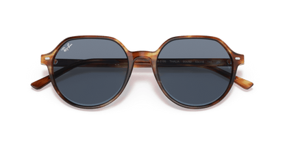 Striped Havana - 0RB2195 8056597364058