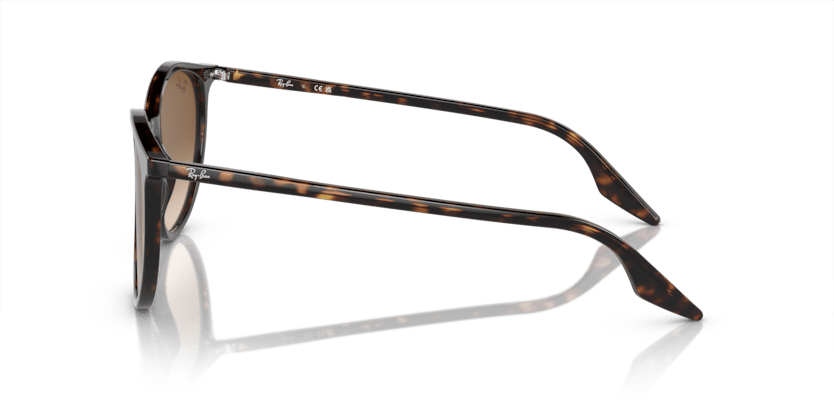 Havana - 0RB2204 8056597936552