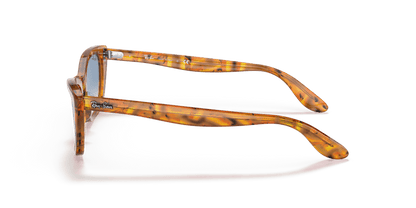 Amber Tortoise - 0RB2299 8056597548748