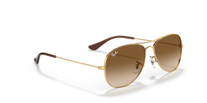 Arista Gold - 0RB3362 805289275251