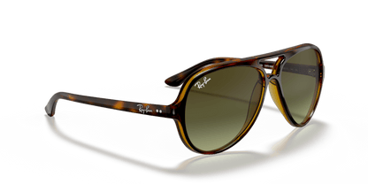 Light Havana - 0RB4125 8053672788761