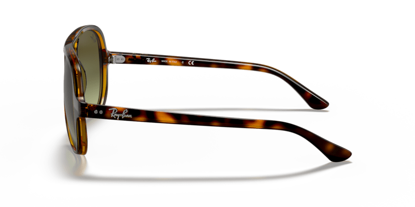 Light Havana - 0RB4125 8053672788761