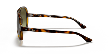 Light Havana - 0RB4125 8053672788761