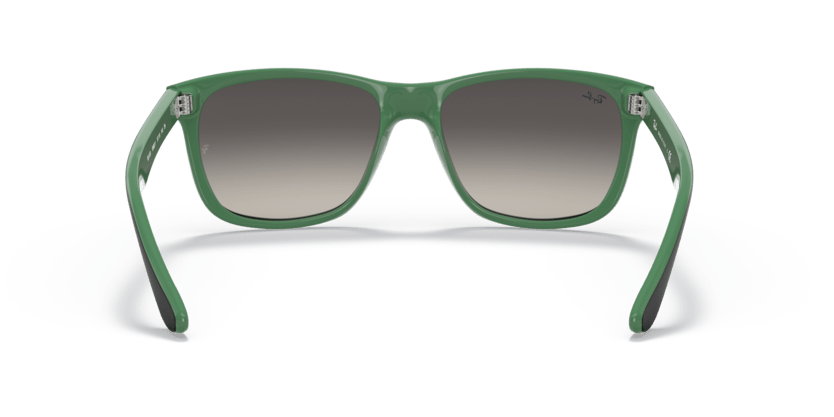 Black - 0RB4181 8056597547222