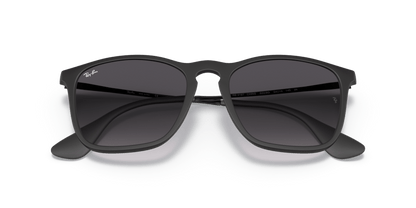 Rubber Black - 0RB4187 713132581124