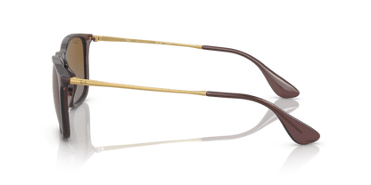 Transparent Brown - 0RB4187 8056597760089