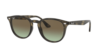 Grey Havana - 0RB4259 8053672790405