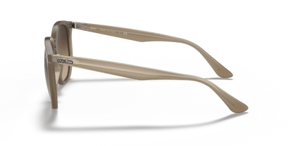 Beige - 0RB4306 8056597072960