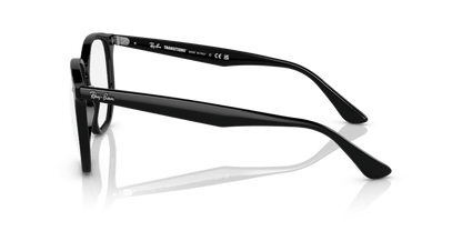 Black - 0RB4306 8056597795005