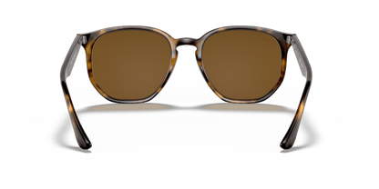 Light Havana - 0RB4306 8056597073011