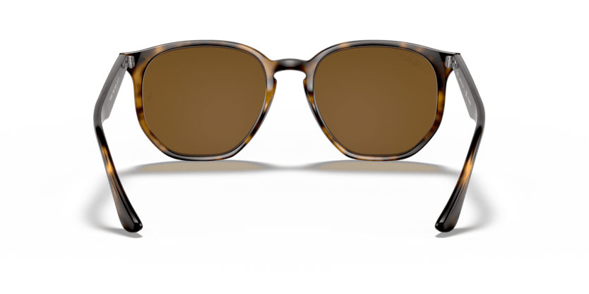 Light Havana - 0RB4306 8056597073011