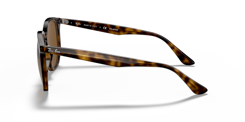 Light Havana - 0RB4306 8056597073011