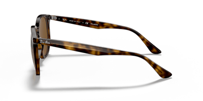 Light Havana - 0RB4306 8056597073011