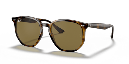 Light Havana - 0RB4306 8056597073004