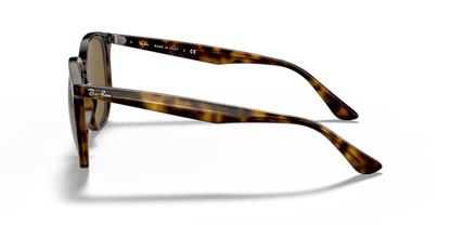 Light Havana - 0RB4306 8056597073004