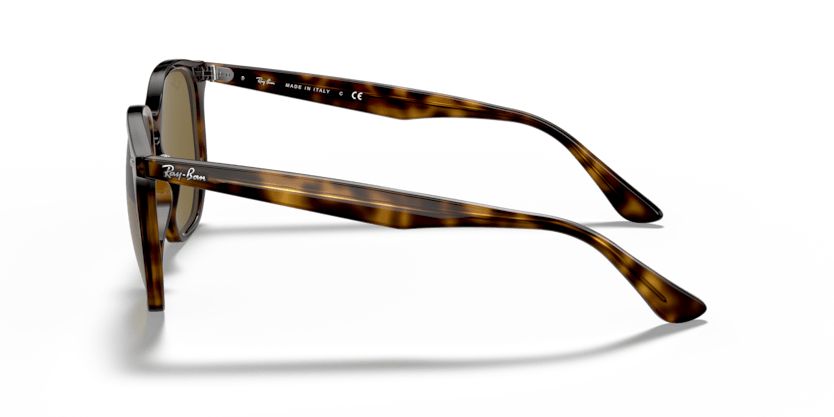 Light Havana - 0RB4306 8056597073004