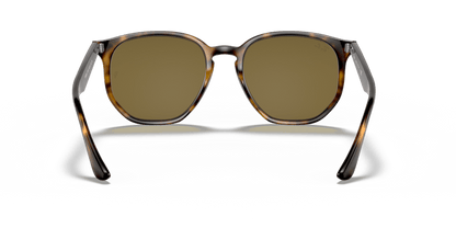 Light Havana - 0RB4306 8056597073004