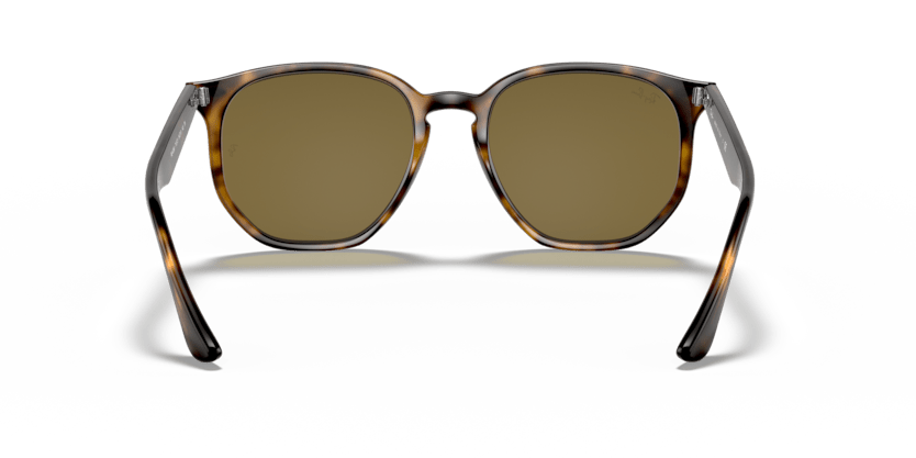 Light Havana - 0RB4306 8056597073004