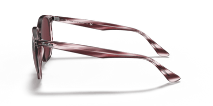 Striped Bordeaux Havana - 0RB4306 8056597260404