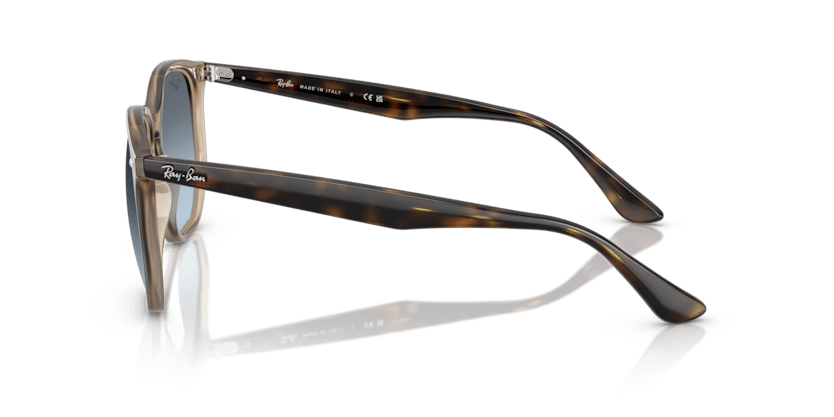 Turtledove - 0RB4306 8056262314654