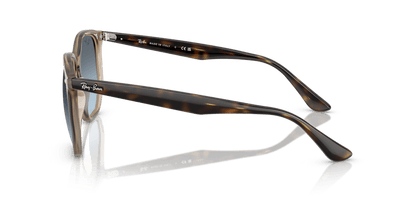 Turtledove - 0RB4306 8056262314654