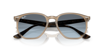 Turtledove - 0RB4306 8056262314654