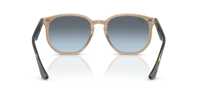 Turtledove - 0RB4306 8056262314654