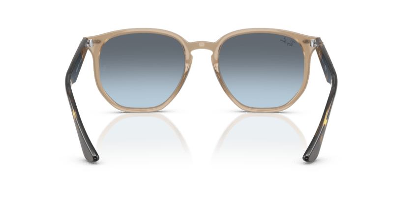 Turtledove - 0RB4306 8056262314654