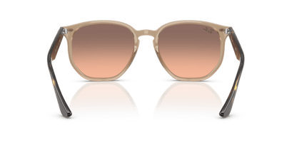 Turtledove - 0RB4306 8056262314647