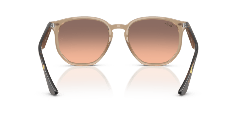 Turtledove - 0RB4306 8056262314647