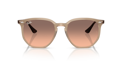 Turtledove - 0RB4306 8056262314647