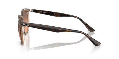 Turtledove - 0RB4306 8056262314647