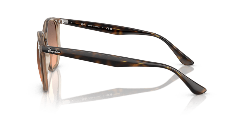 Turtledove - 0RB4306 8056262314647