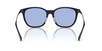 Black - 0RB4333D 8056597953672