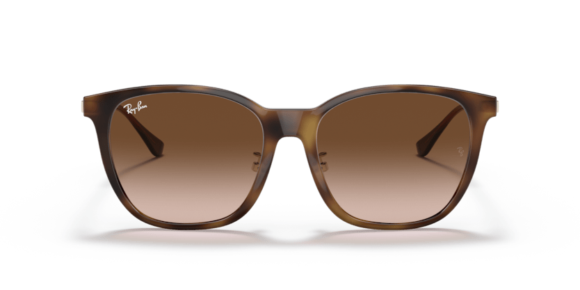 Light Havana - 0RB4333D 8056597179614