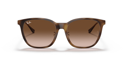 Light Havana - 0RB4333D 8056597179614