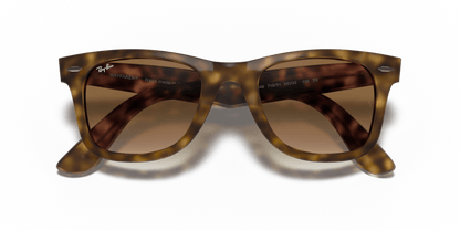 Light Havana - 0RB4340 8053672770445