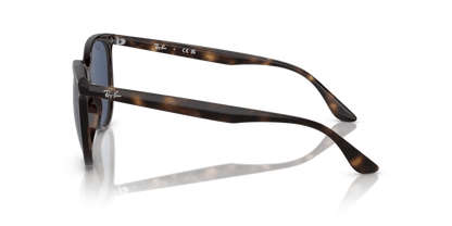 Havana - 0RB4378 8056597856195