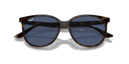 Havana - 0RB4378 8056597856195