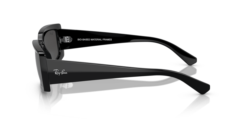 Black - 0RB4395 8056262052112