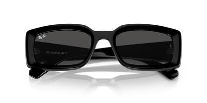 Black - 0RB4395 8056262052112