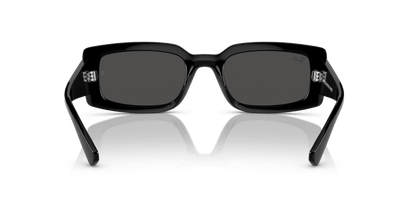 Black - 0RB4395 8056262052112