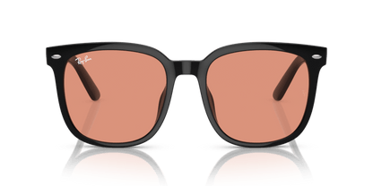 Black - 0RB4401D 8056262049846